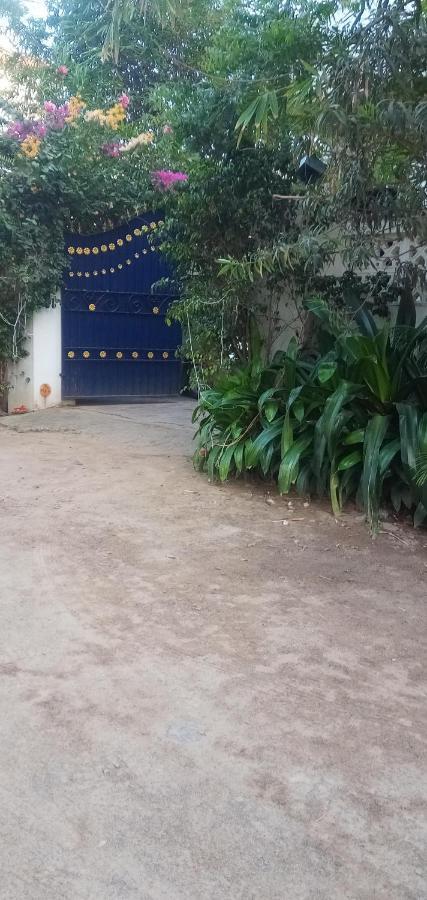 Meya Beach Walk Hotel Mahabalipuram Zewnętrze zdjęcie